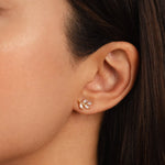 Hushmode - Crystal Leaf Stud Earrings 2